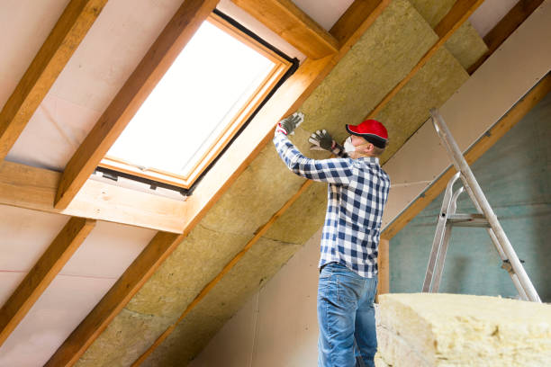 Best Attic Insulation Installation  in USA